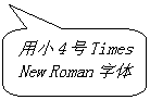 圆角矩形标注: 用小4号Times New Roman字体