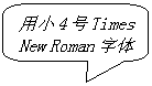 圆角矩形标注: 用小4号Times New Roman字体